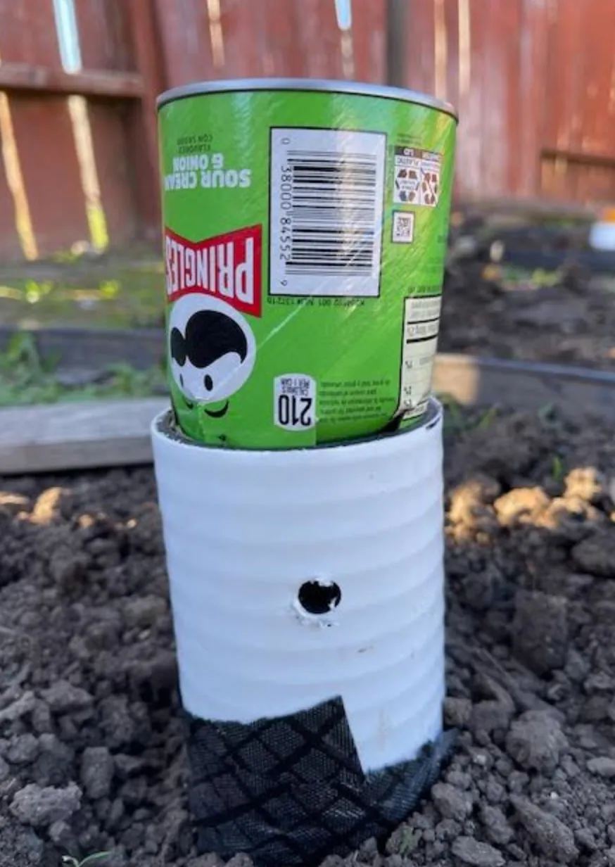 Pipe ready for the next watering.